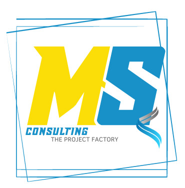MSConsulting